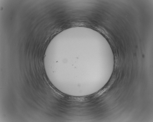 X0000061140377200512161536