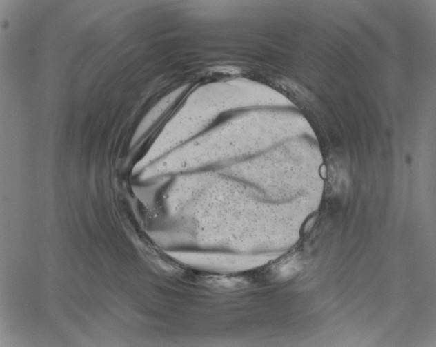 X0000061140379200512161536