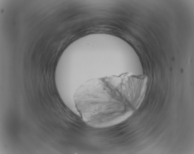 X0000061140381200512161536