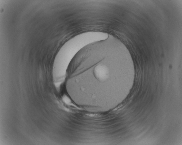 X0000061140383200512161536