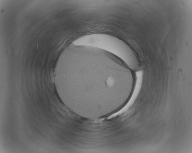 X0000061140384200512161536