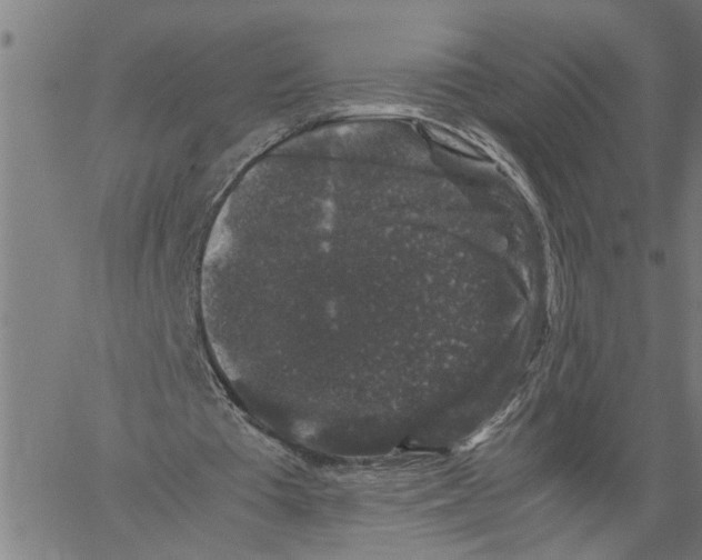 X0000061140385200512161535