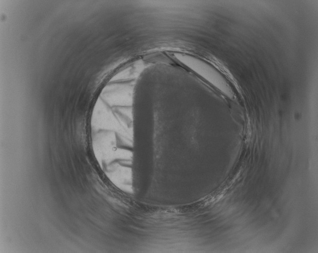 X0000061140386200512161535