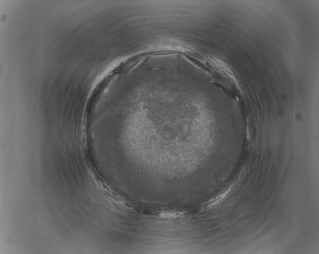 X0000061140388200512161535