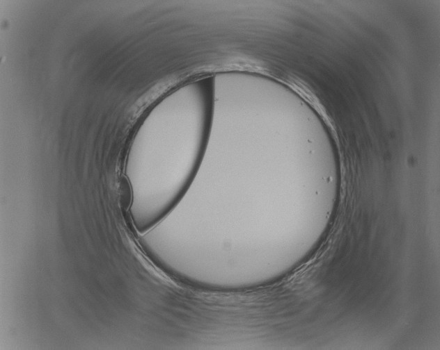 X0000061140389200512161535