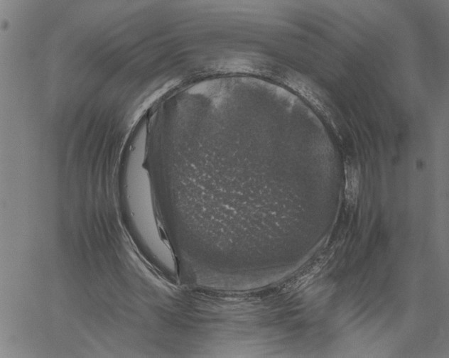 X0000061140390200512161535