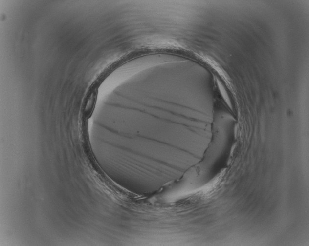 X0000061140391200512161535