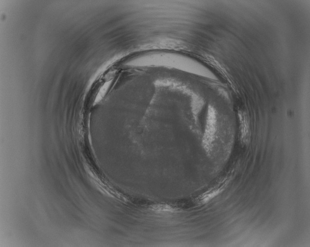 X0000061140392200512161535