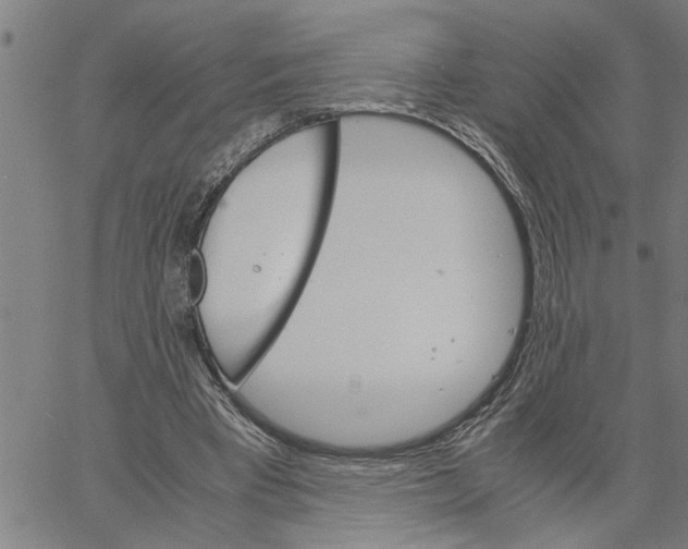 X0000061140393200512161535