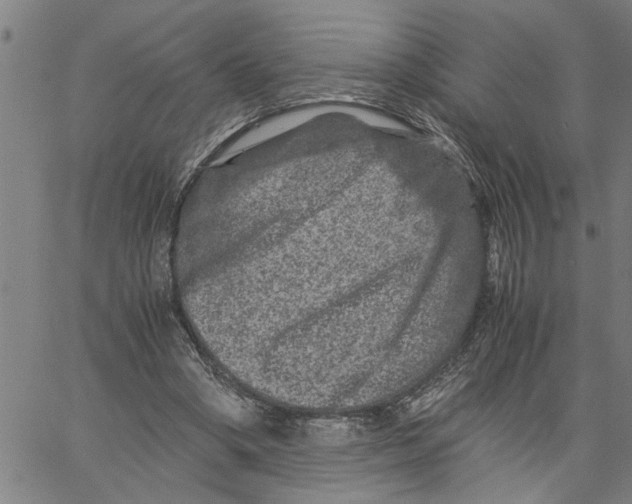 X0000061140394200512161535