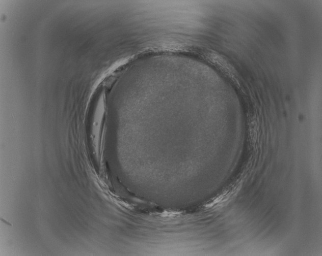 X0000061140395200512161535