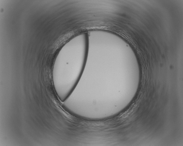 X0000061140397200512161535