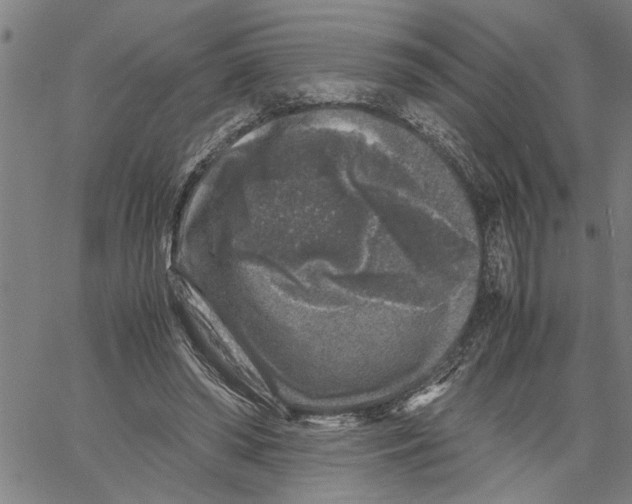 X0000061140398200512161535