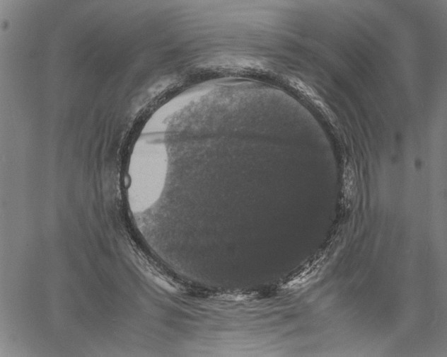 X0000061140399200512161535