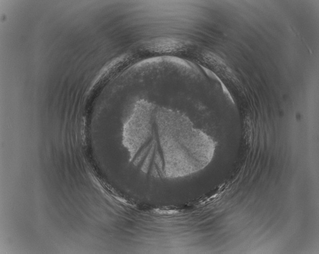 X0000061140400200512161535