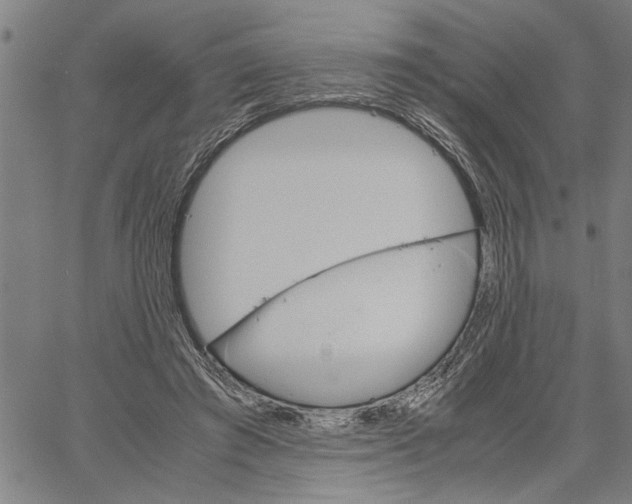 X0000061140401200512161535