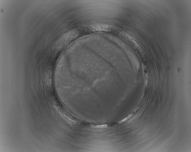 X0000061140402200512161535