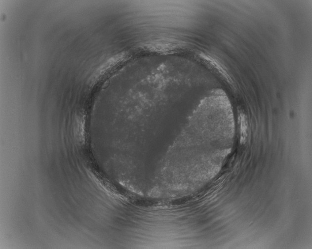 X0000061140404200512161535