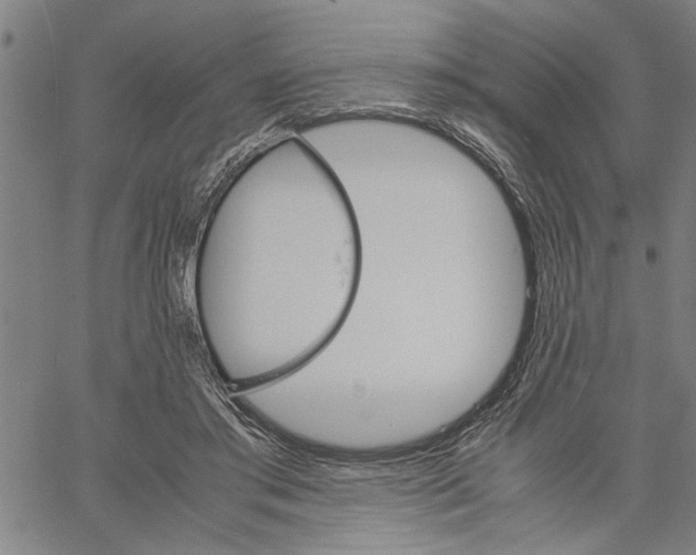 X0000061140405200512161535