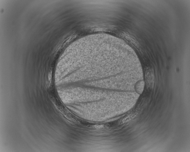 X0000061140406200512161535