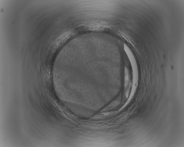 X0000061140407200512161535