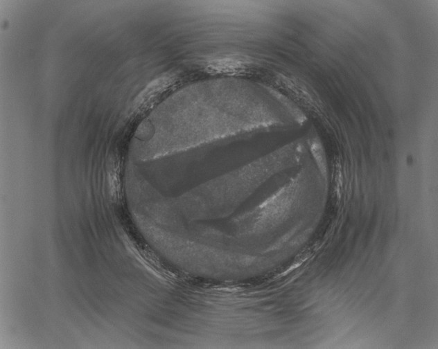 X0000061140408200512161535