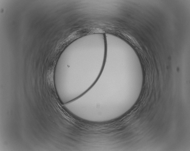 X0000061140409200512161535