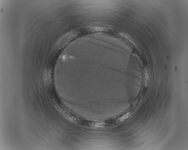 X0000061140410200512161535