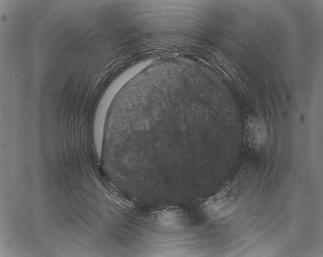 X0000061140412200512161535