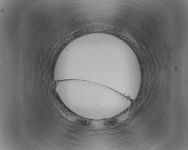 X0000061140413200512161535