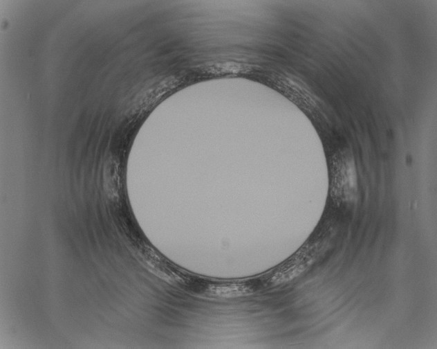 X0000061140414200512161535