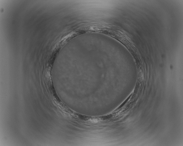 X0000061140415200512161535