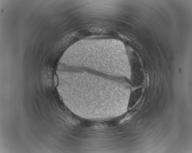 X0000061140416200512161535