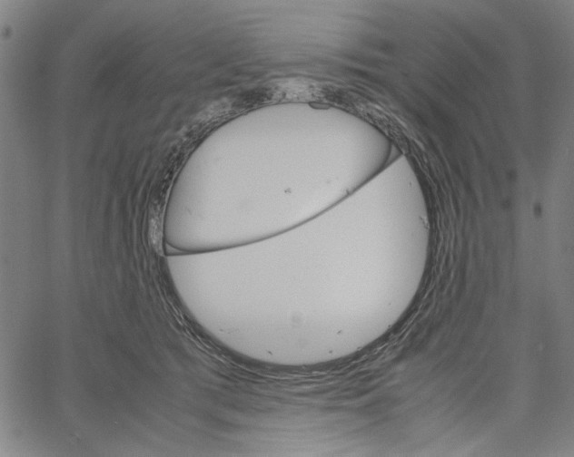 X0000061140417200512161535