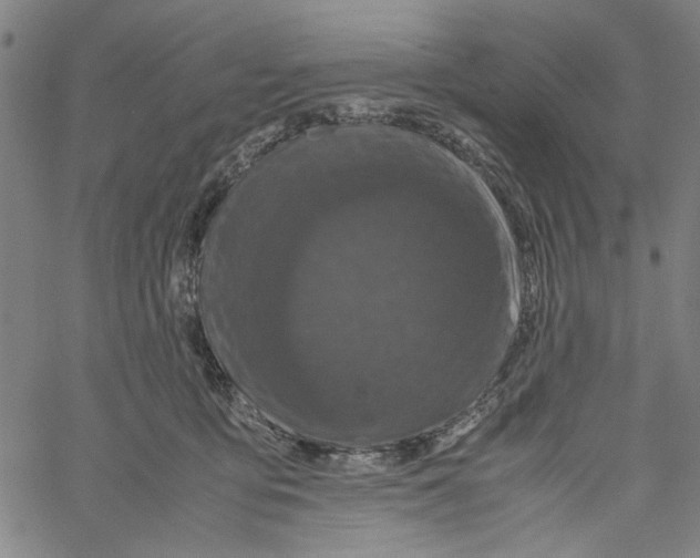 X0000061140419200512161535