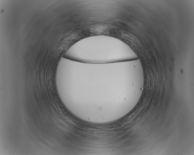 X0000061140420200512161535