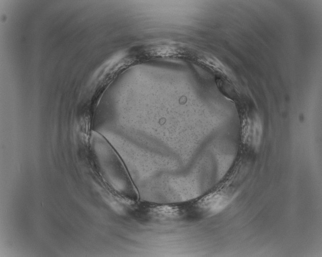 X0000061140421200512161535