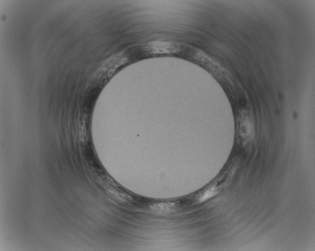 X0000061140422200512161535