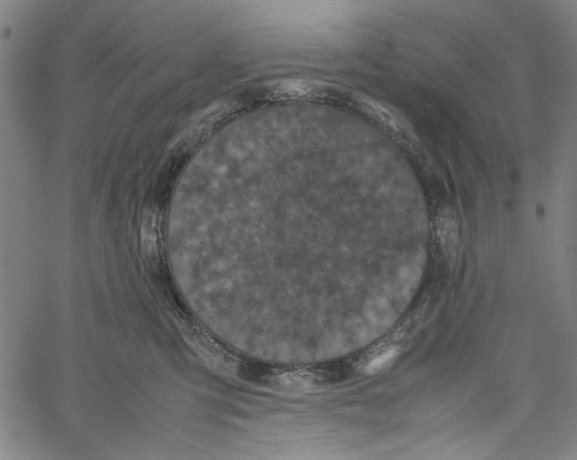 X0000061140423200512161535