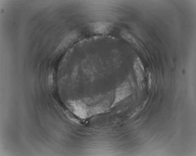 X0000061140424200512161535