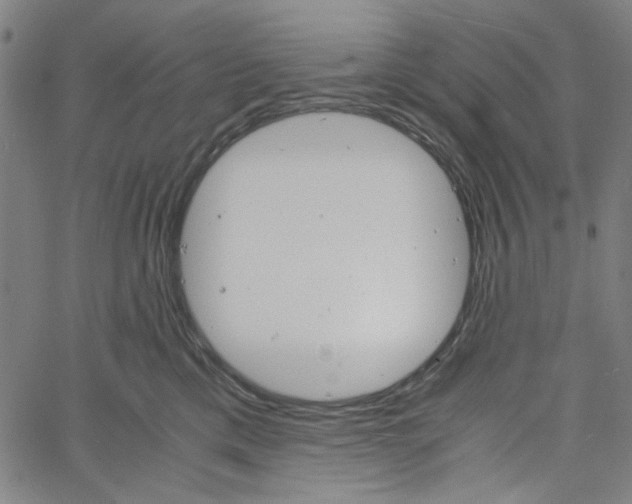 X0000061140425200512161535