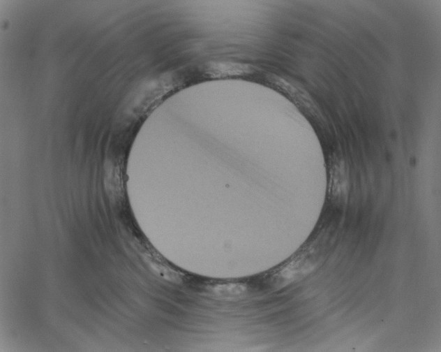 X0000061140426200512161535