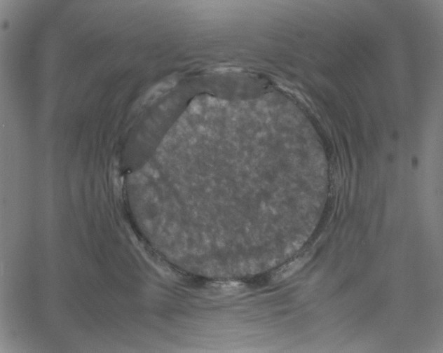 X0000061140427200512161535