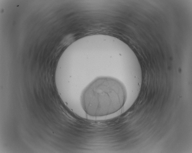 X0000061140428200512161535