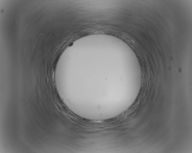 X0000061140429200512161535