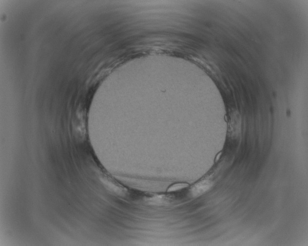 X0000061140430200512161535