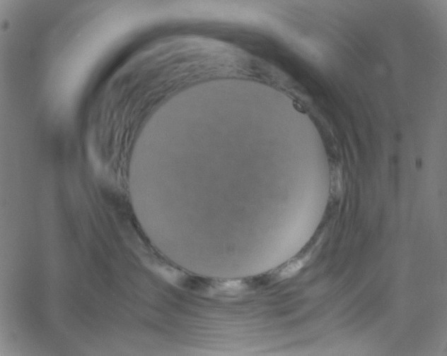 X0000061140431200512161535