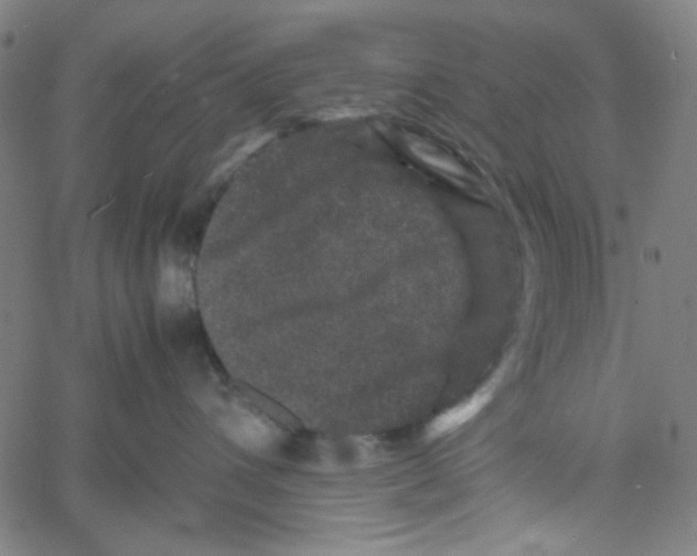 X0000061140432200512161535