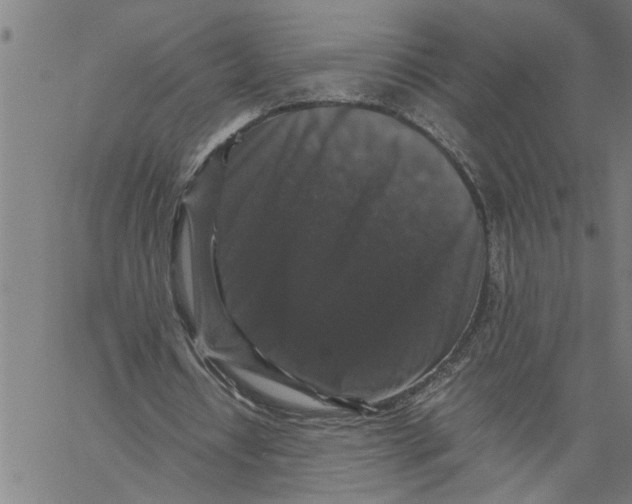 X0000061140434200512161534