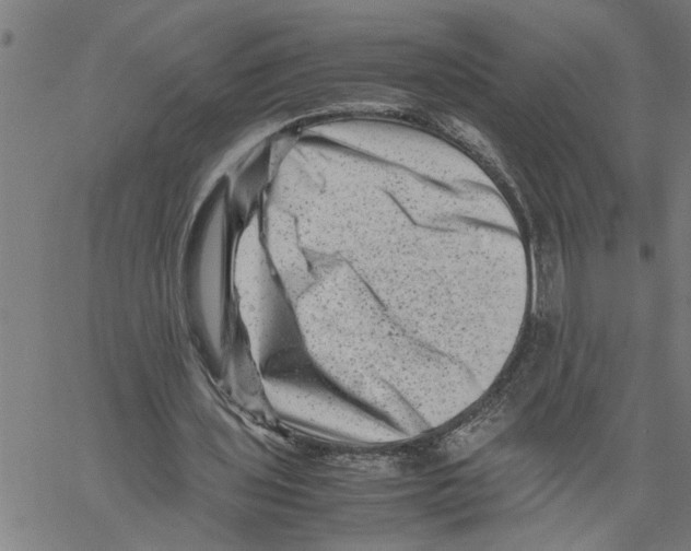 X0000061140435200512161534